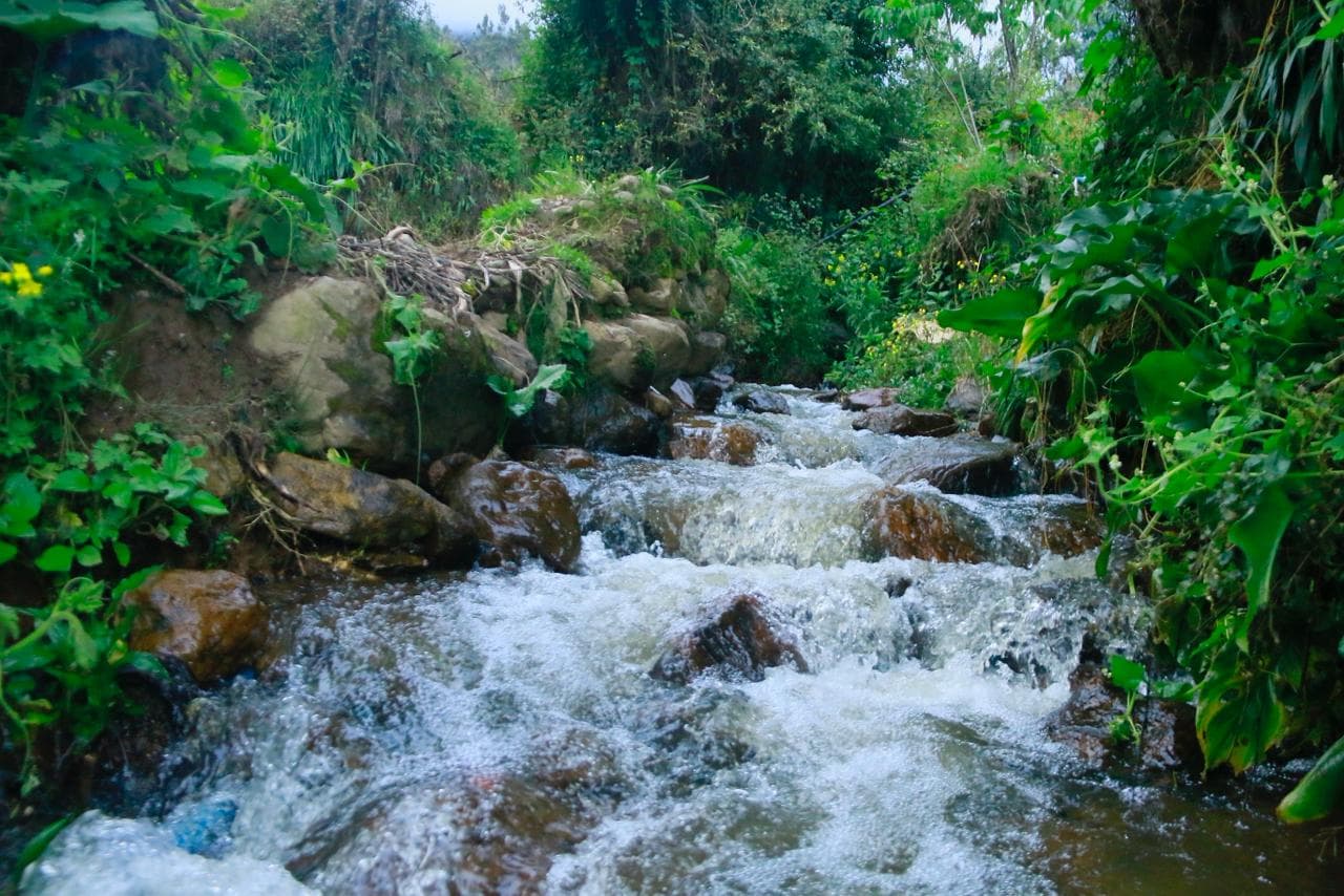 Cuidado del Agua